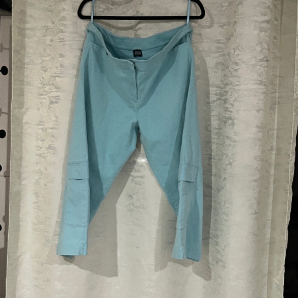 Elieen fisher Light Blue Pants
